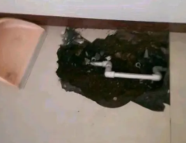 淅川卫生间测漏水多少钱